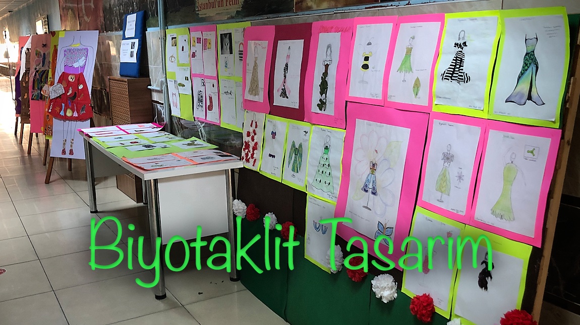 Hacıbayram Ortaokulu Öğrencileri Biyotaklit Tasarımlarıyla Büyülüyor!